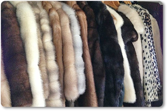 �є甃��b��k���E���E�H�t���ō��z����E��������Ȃ�_���g�c�ɃR�R�I